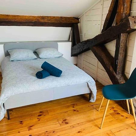 Spacieux Appartement En Plein Coeur De Castres Castres  Zewnętrze zdjęcie