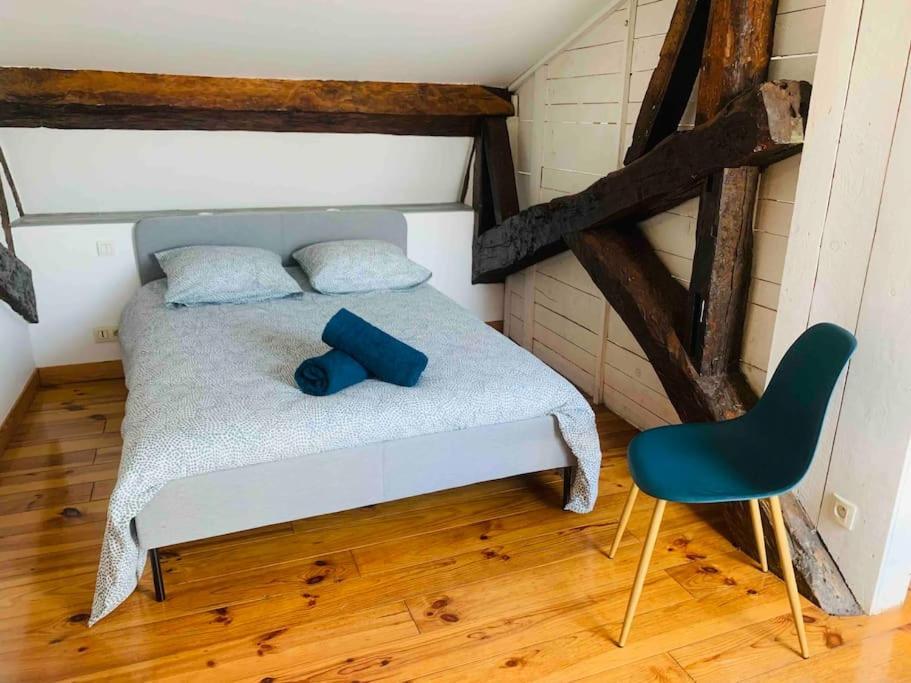 Spacieux Appartement En Plein Coeur De Castres Castres  Zewnętrze zdjęcie
