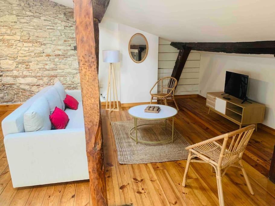 Spacieux Appartement En Plein Coeur De Castres Castres  Zewnętrze zdjęcie
