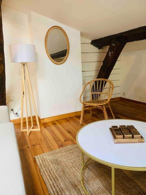 Spacieux Appartement En Plein Coeur De Castres Castres  Zewnętrze zdjęcie
