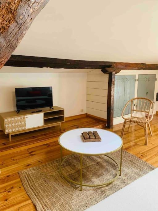 Spacieux Appartement En Plein Coeur De Castres Castres  Zewnętrze zdjęcie