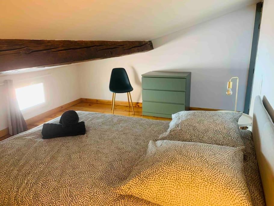 Spacieux Appartement En Plein Coeur De Castres Castres  Zewnętrze zdjęcie