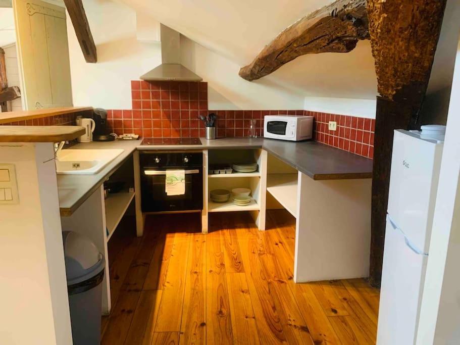 Spacieux Appartement En Plein Coeur De Castres Castres  Zewnętrze zdjęcie