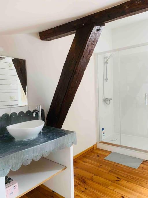 Spacieux Appartement En Plein Coeur De Castres Castres  Zewnętrze zdjęcie